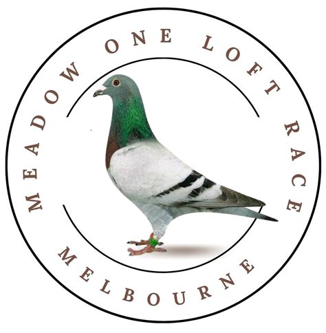western pigeon federation|tasmanian pigeon federation.